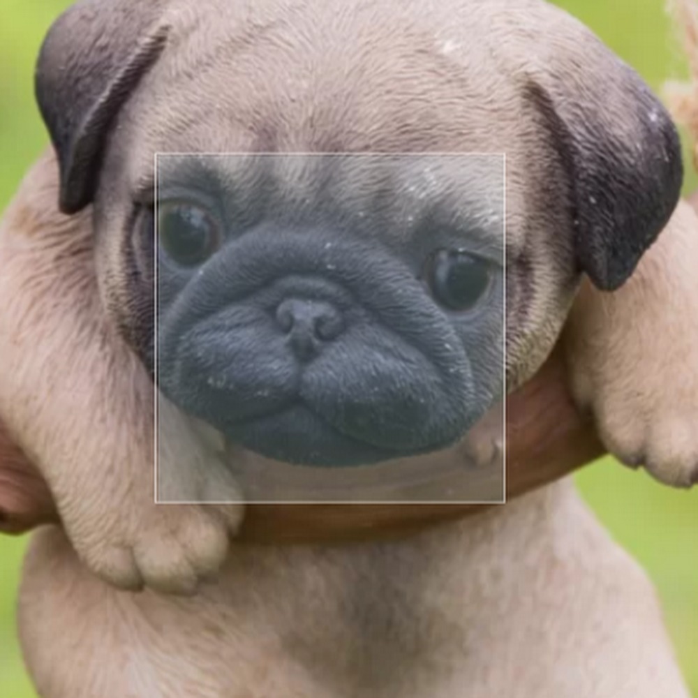 Meet your Posher, Kaitie